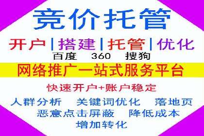 某电商平台的SEM推广实践与效果展示